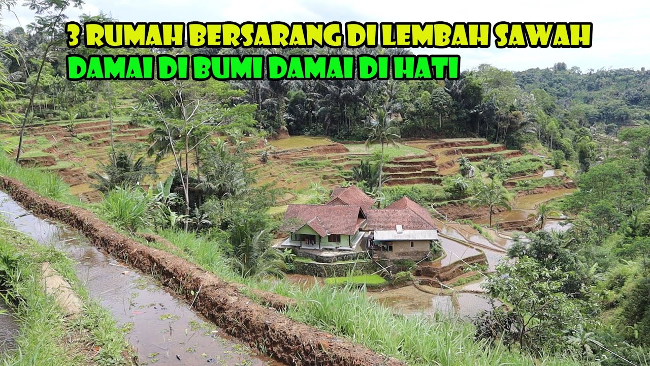 Tiga Rumah Mungil Tersembunyi Di Lembah Sawah Yang Indah. Hari Hari Penuh Kedamaian.