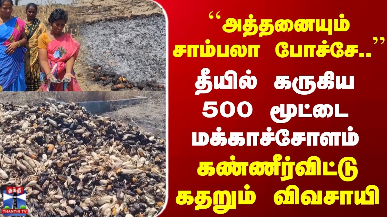 Cuddalore | Fire | தீயில் கருகிய 500 மூட்டை மக்காச்சோளம் | கண்ணீர்விட்டு கதறும் விவசாயி