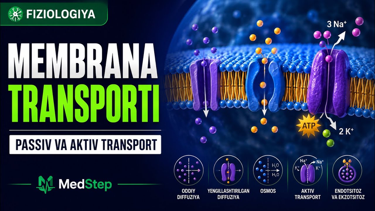 MEMBRANA TRANSPORTI | HUJAYRA FIZIOLOGIYASI