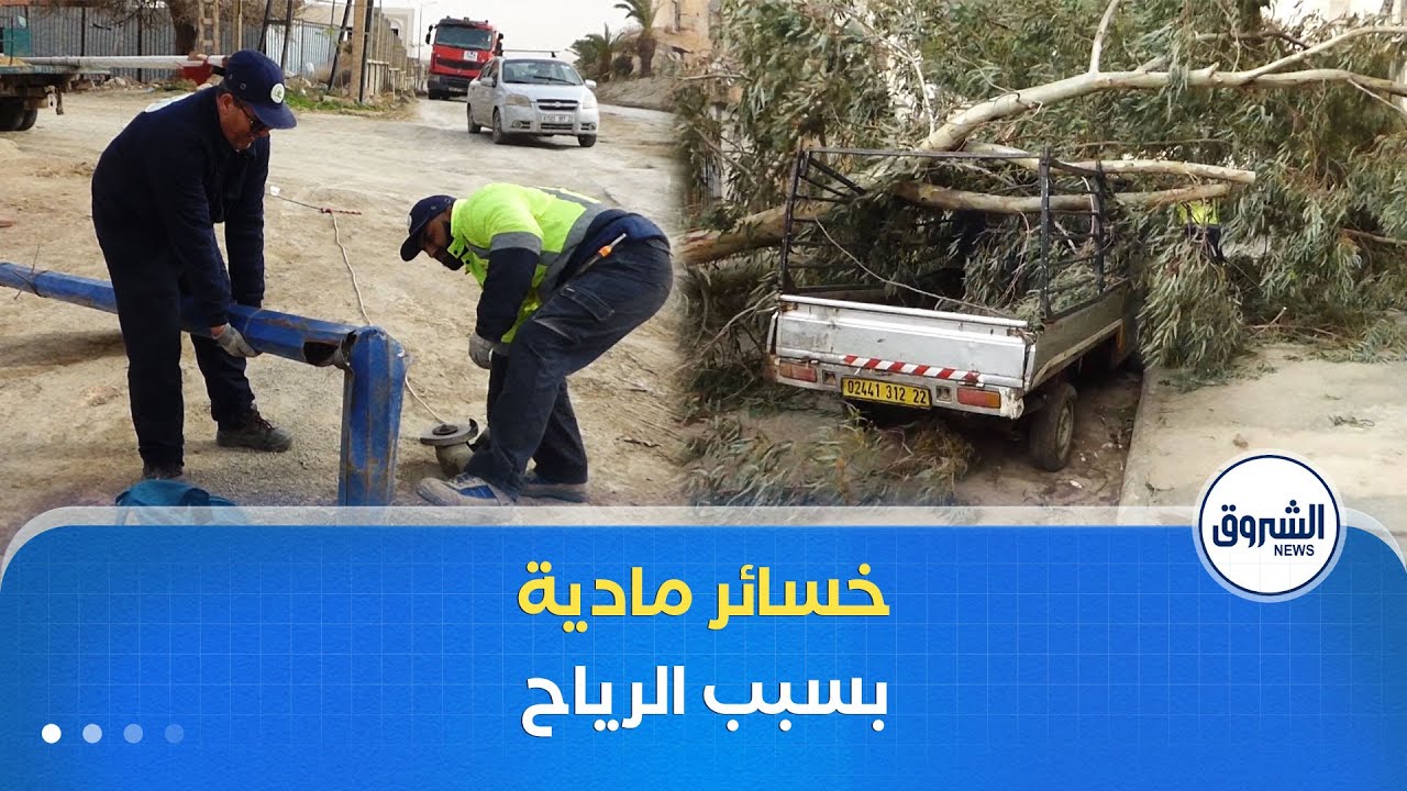 الرياح القوية تقتلع أشجارا وتخرب مركبات وأعمدة كهربائية بولاية سيدي بلعباس