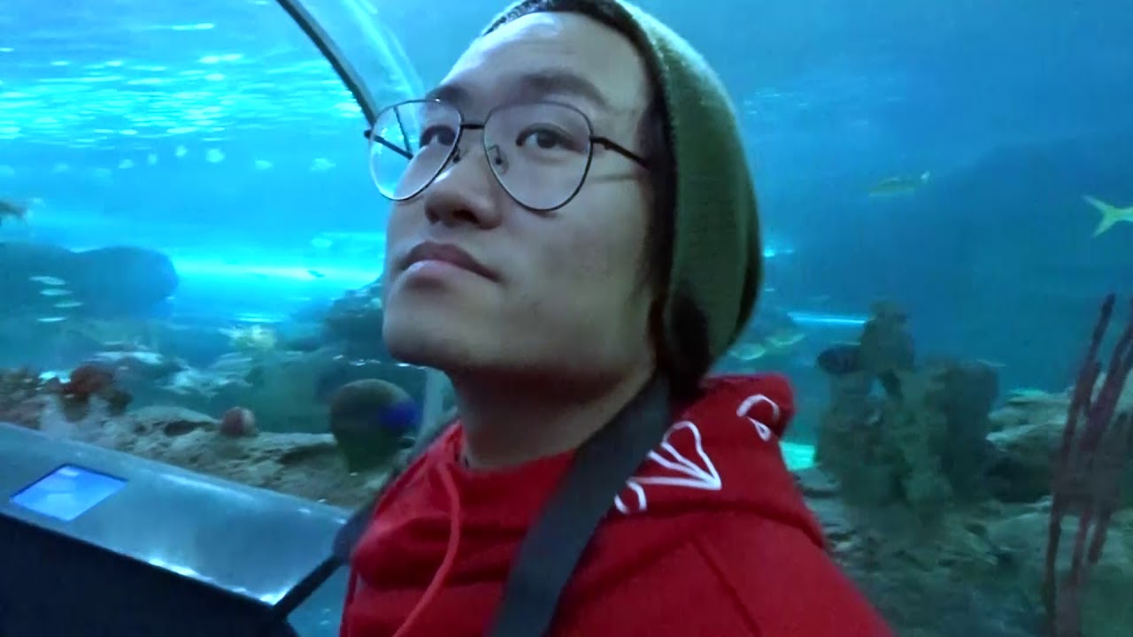 First Time in Toronto!