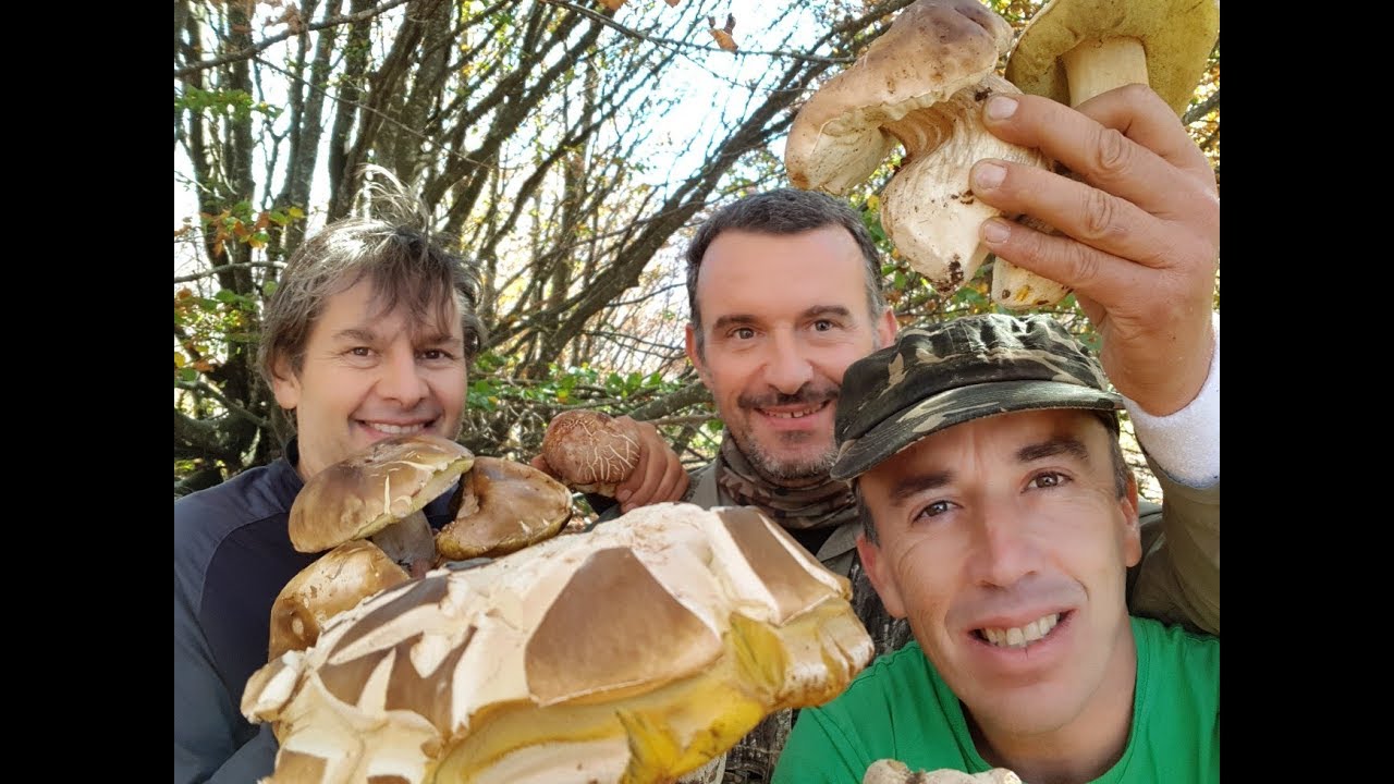RACCOLTO DI FUNGHI PORCINI APPENNINO REGGIANO - OTTOBRE 2017