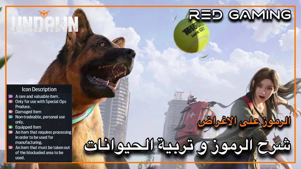 شرح الحصول على رفيق كلب و قطة + شرح الرموز على الادوات و الاغراض 🔥 Undawn