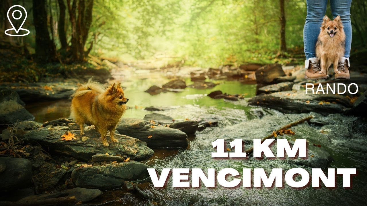 Mini-rando avec mon chien : Vencimont (Be)