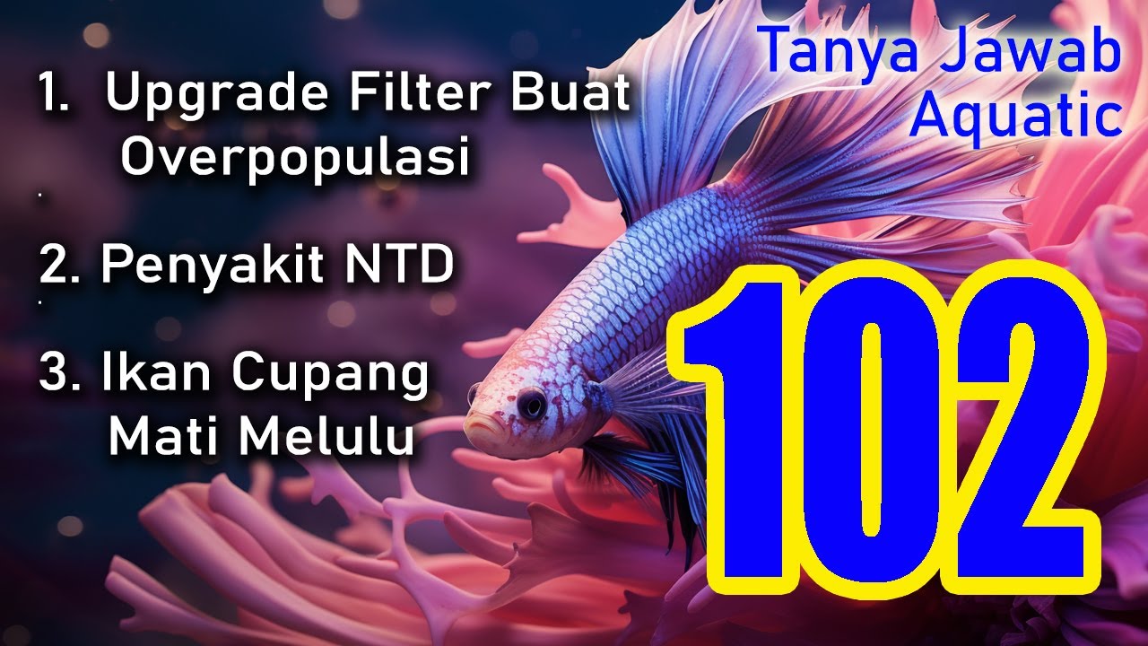 Tanya Jawab Aquatic 102