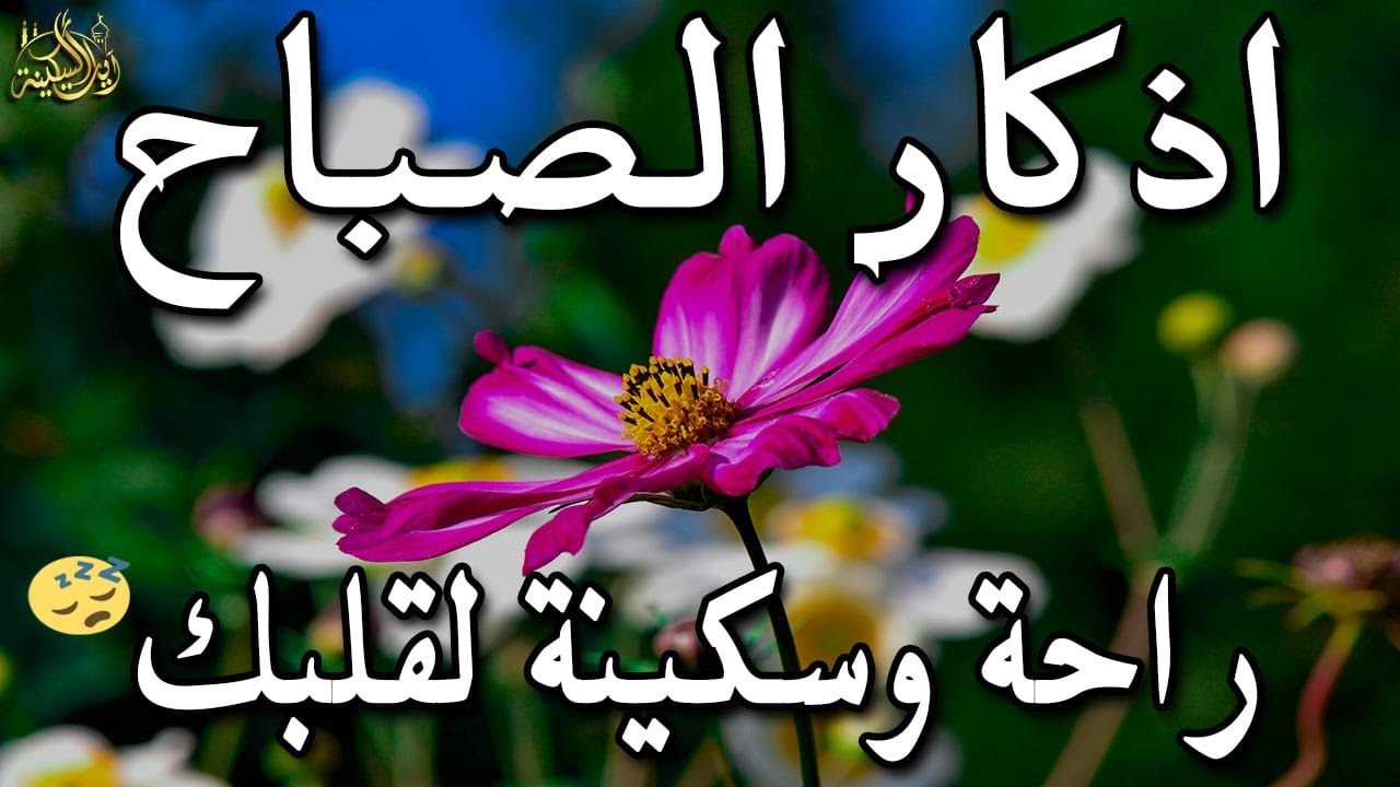 أذكار الصباح - راحة نفسية لا توصف بصوت القارئ علاء عقل | Morning Athkar - Dzkir Pagi by Alaa Aql