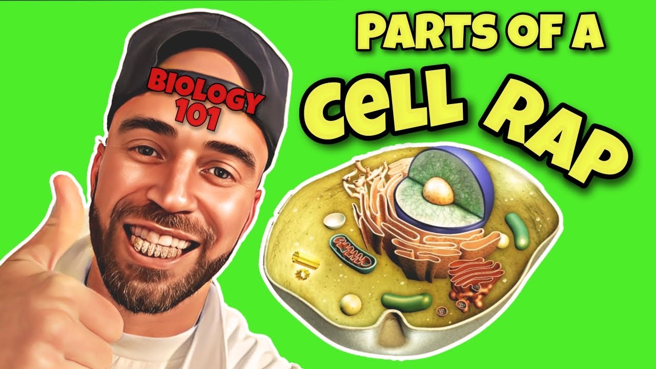 Parts of a Cell Explained in a Rap ( Easy to Remember )🎵