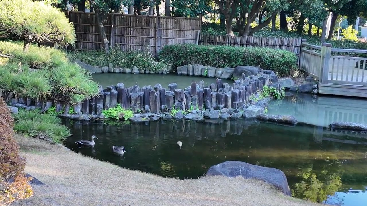 Japanese Garden near Tokyo is a must see