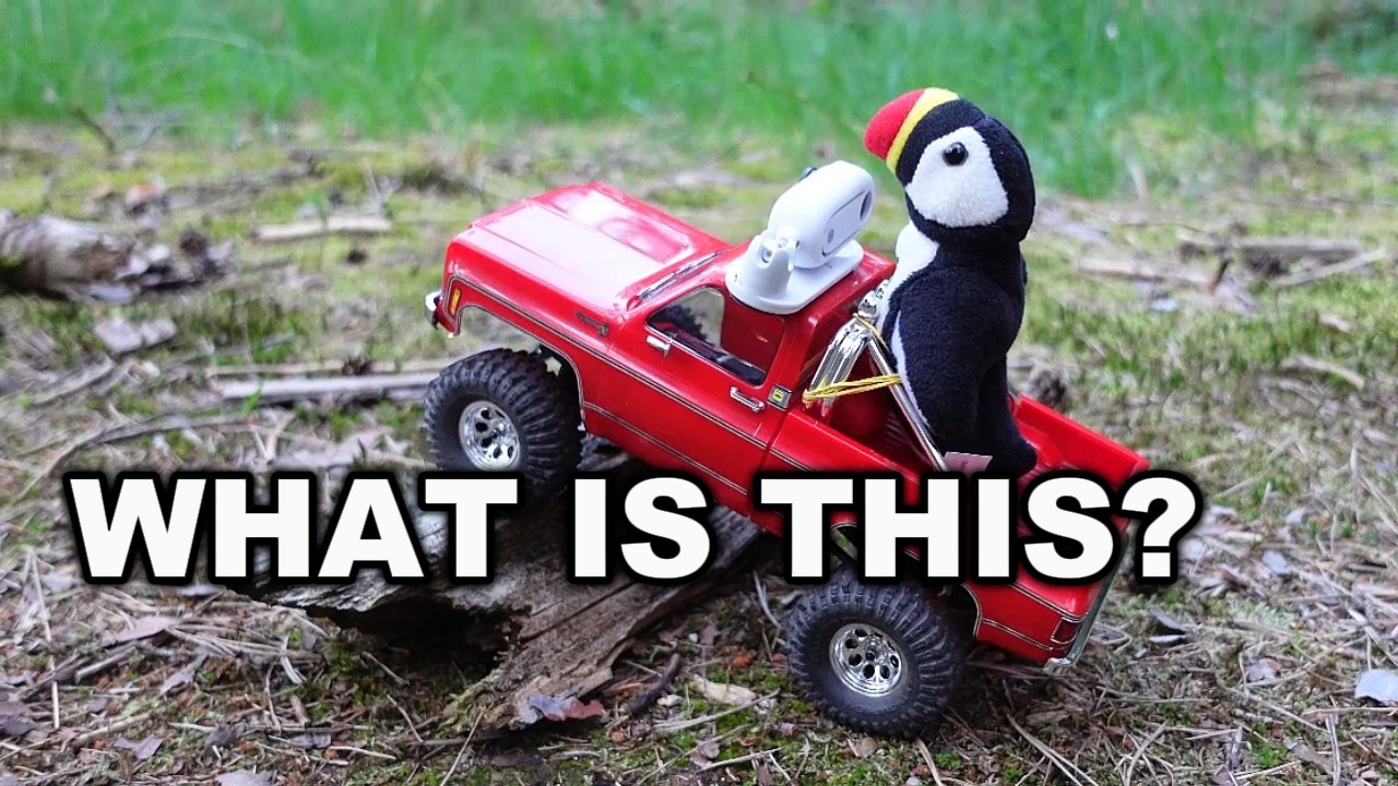 This Puffin is mental! A hillarious crawler adventure