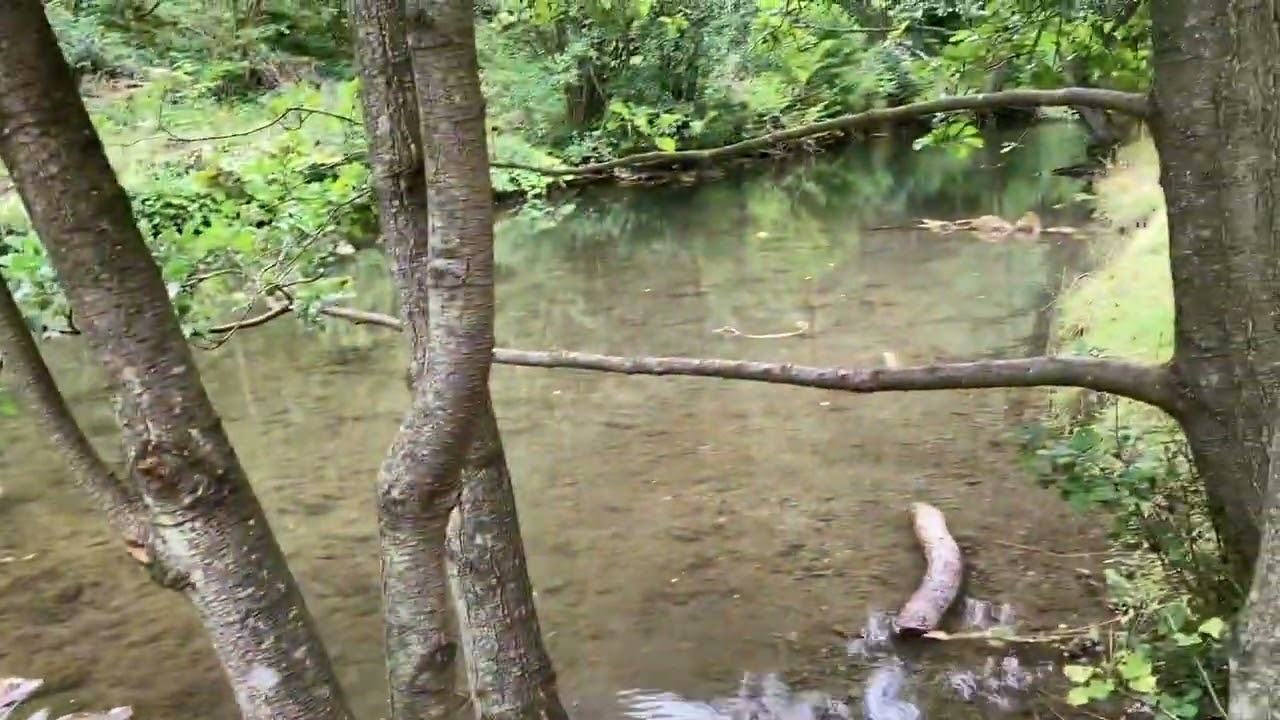 Dovedale | Peak District | renowned beauty spot | National Trust | River Dove