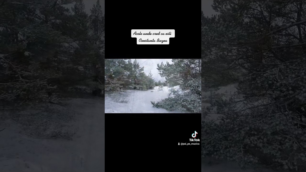 Acolo unde cred că ești - Constanța Buzea