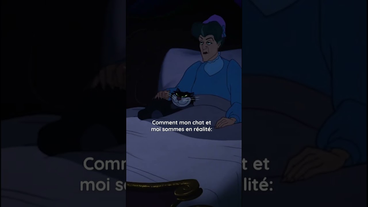 Aristochats | Mon chat et moi | Disney BE