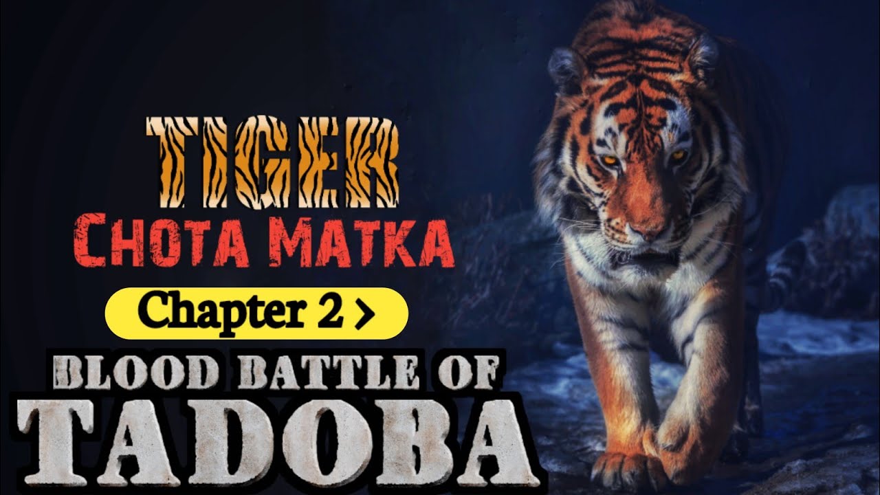 Rise of Chota Matka - Battle of Tadoba । Chapter 2 । Facta Phylum