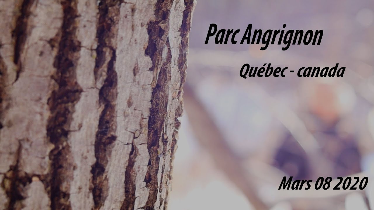 Parc Angrignon - Une nature parlante