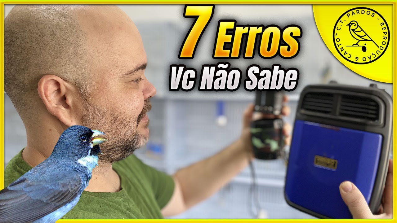 ABSURDO!!! 7 ERROS QUE ACABAM COM SEU ENCARTE DE COLEIRO