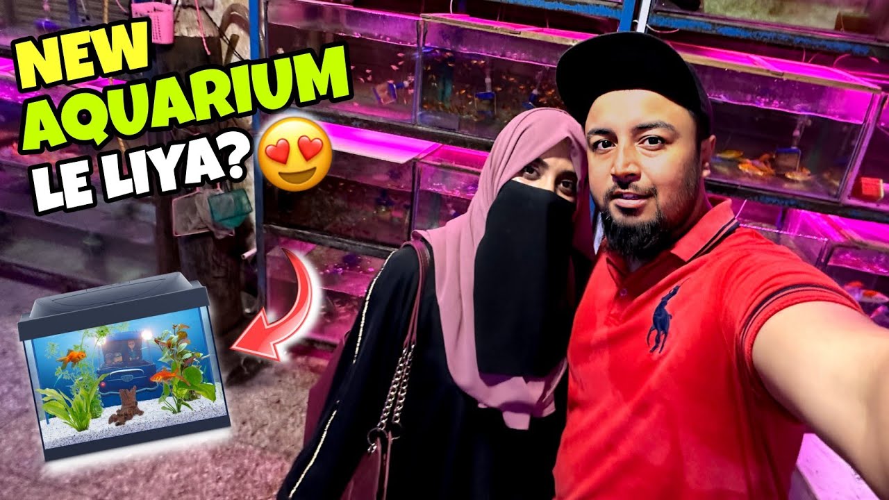 Hum Ne Liya New Aquarium | Gari Utha Ke Le Gaye | Pakistani Aquarium Shop | Aquarium Setup Pakistan