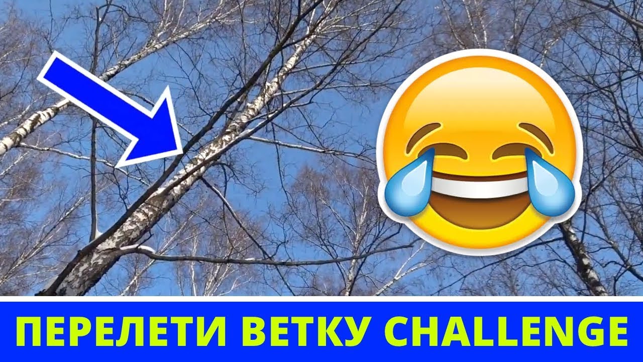 Багги Мюген и Текно МТ410 — кто выше? Я таки сломал карбон :))