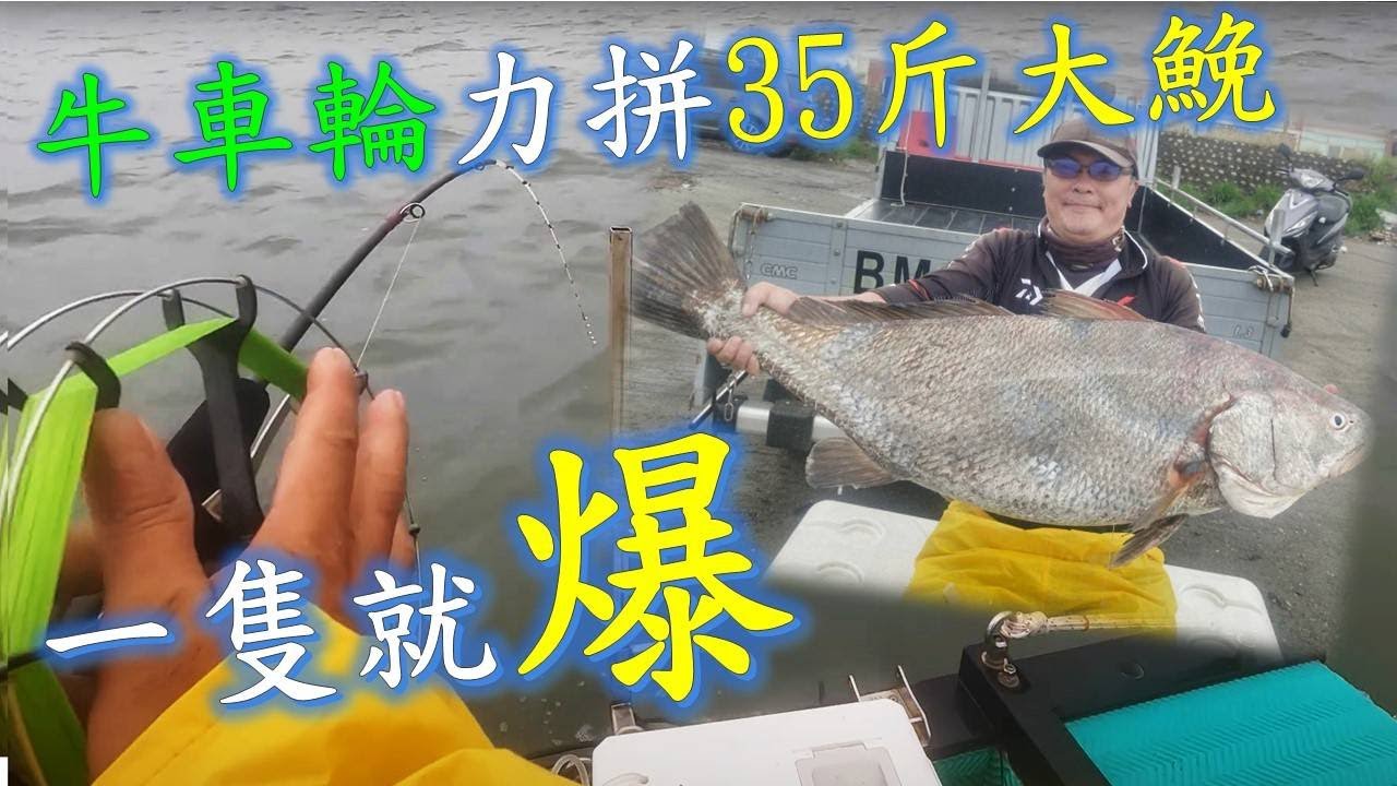 釣魚去瞜!要釣三牙帕頭卻意外來鮸魚!一隻就爆桶!!#釣魚#鮸魚#三牙#帕頭