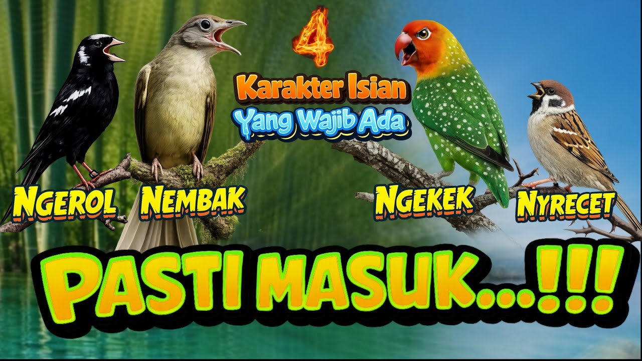 Masteran Kombinasi Kenari + Kapas Tembak + Lovebird + Gereja Tarung  Jernih Di jamin Cepat Masuk