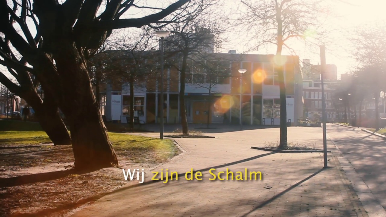 Wij zijn de Schalm.   (karaoke versie)