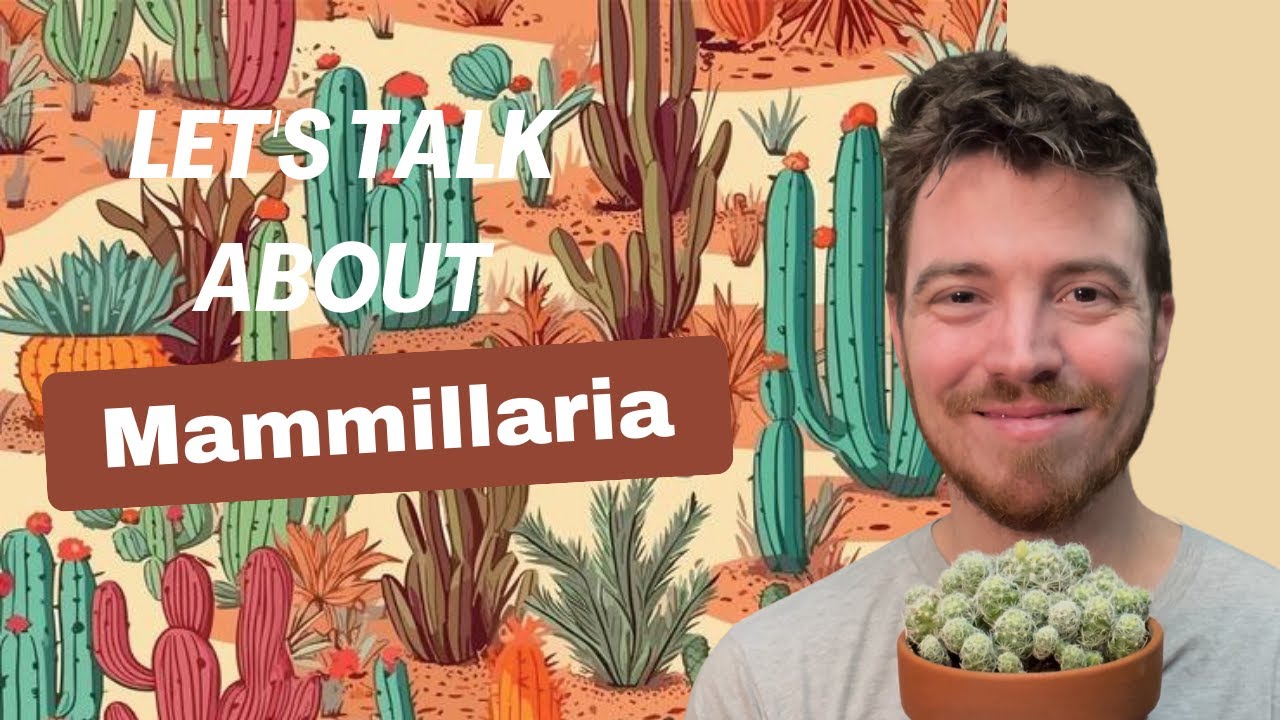 Let's Talk about Mammillaria