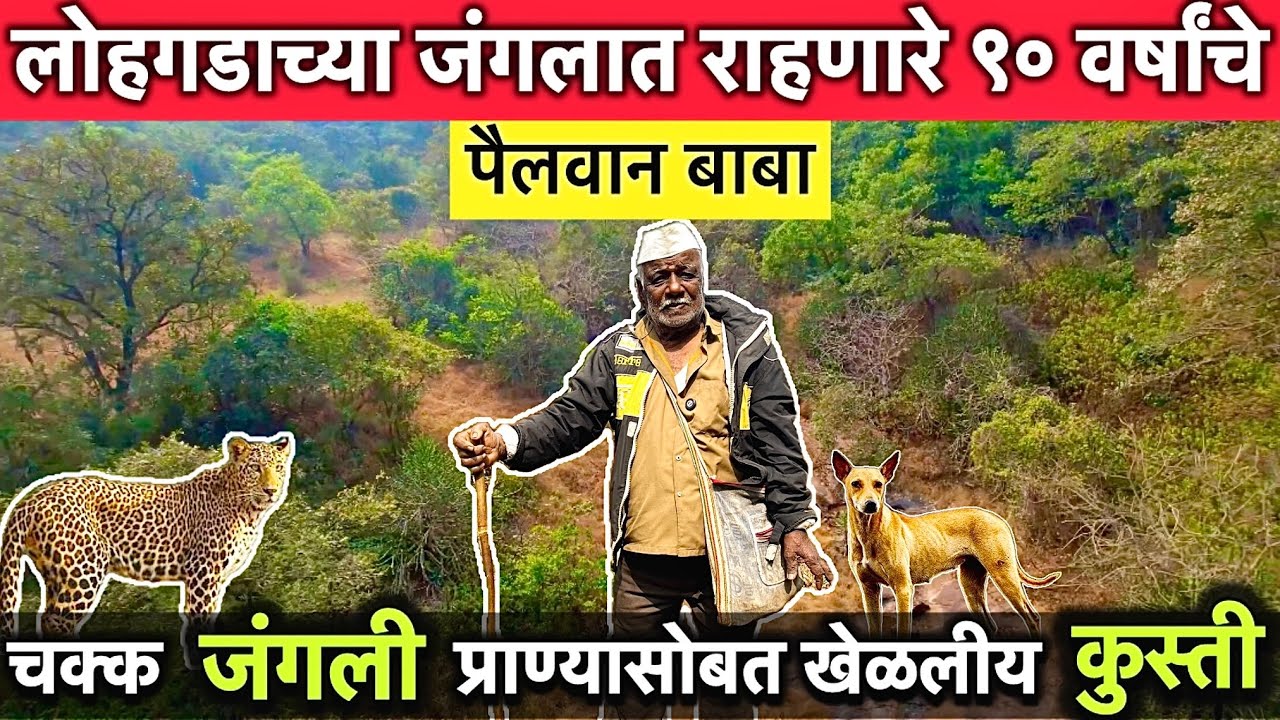 लोहगडाच्या जंगलातील समृद्ध जीवन जगणारे ९० वर्षांचे बाबा | Lohgad | Forest🛖🌳 #maharashtra  
