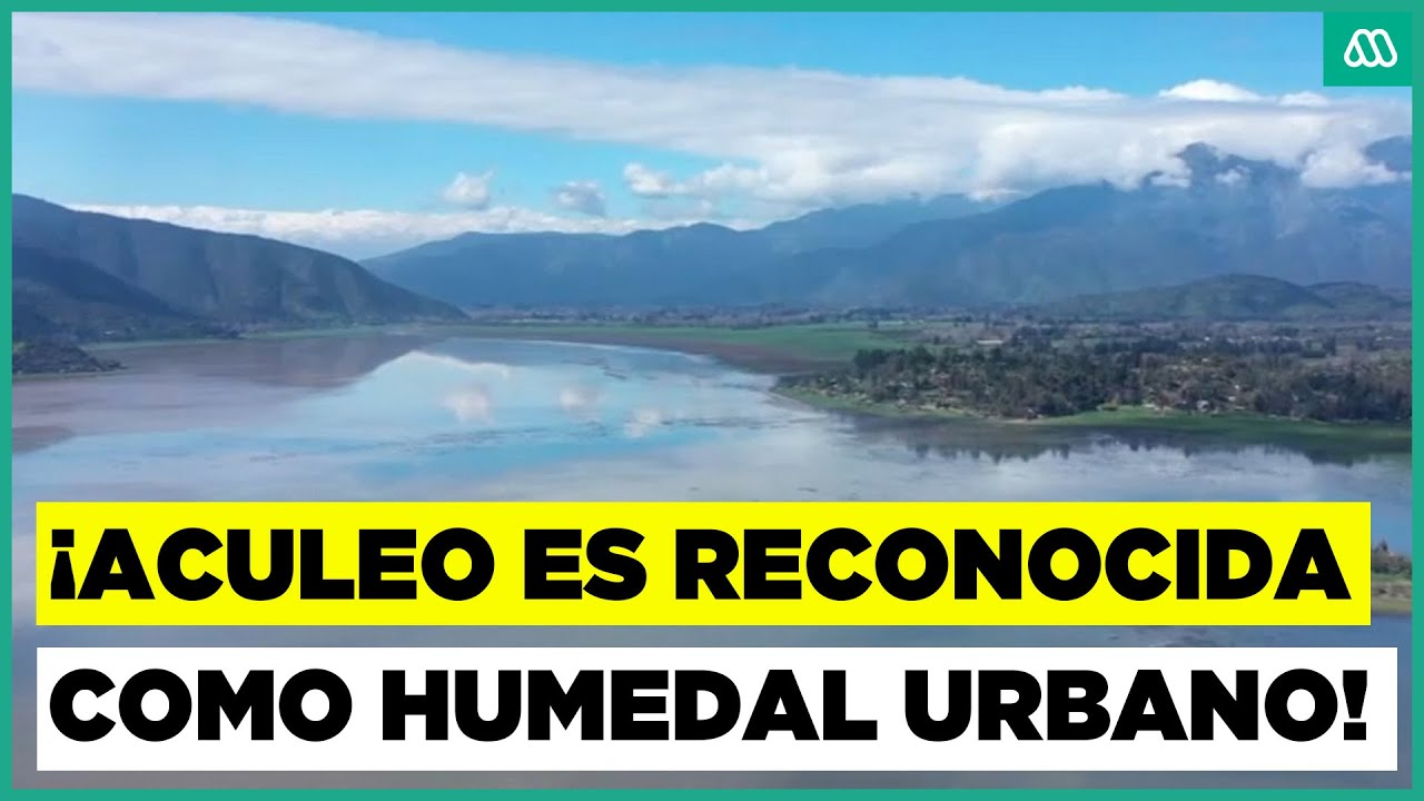 El renacer de la Laguna Aculeo: Fue reconocida como “Humedal Urbano “