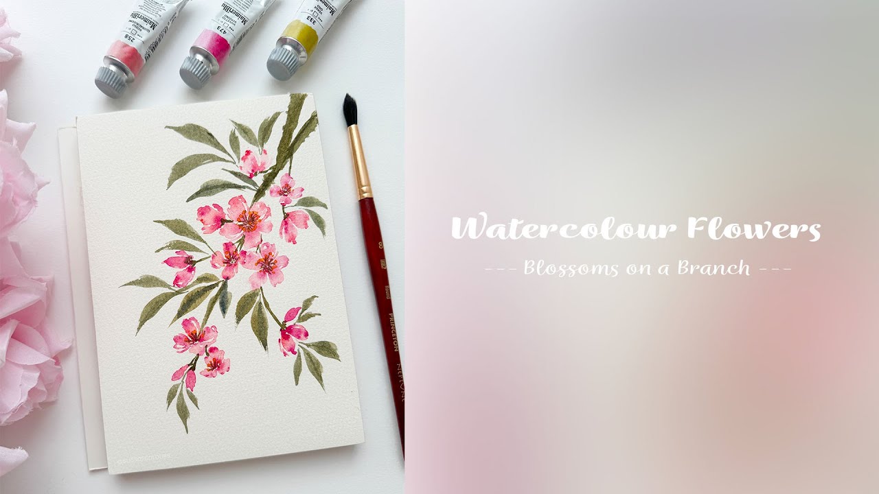 Watercolour Pink Blossoms on Branch 🌸