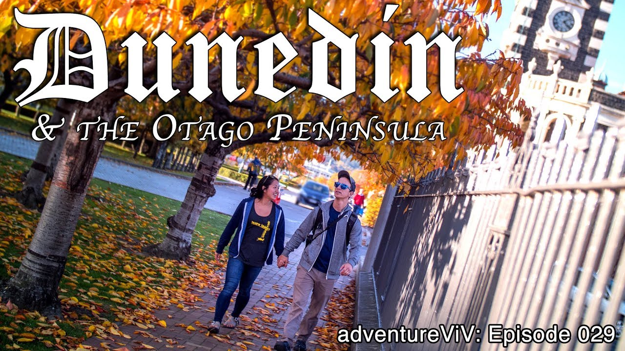 Dunedin and The Otago Peninsula