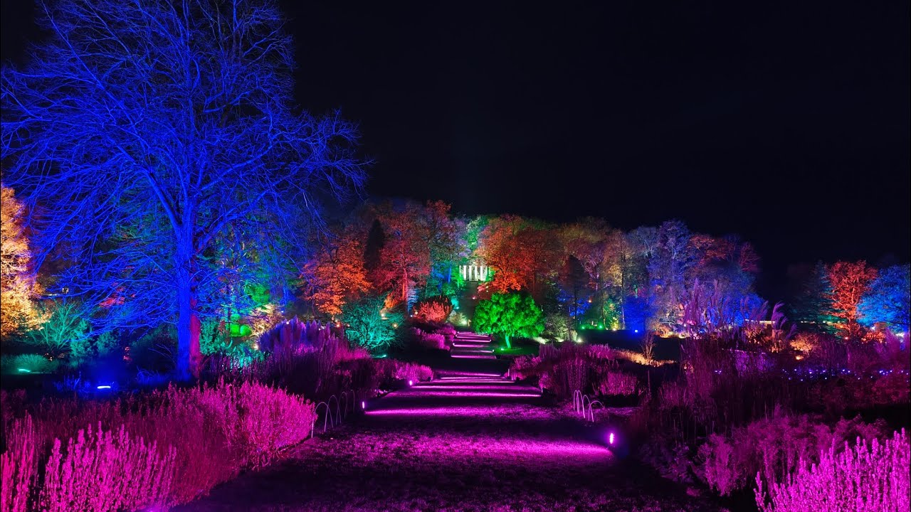 Glow Winter Illuminations, RHS Harlow Carr Harrogate | 4K | FLASHING IMAGES 