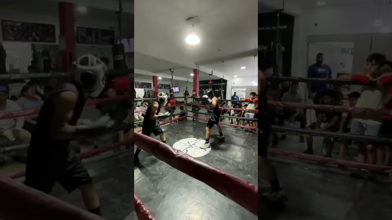 boxing sparring