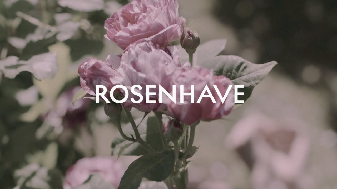 ROSENHAVE – Floral Sanctuary | The story of a scent | Skandinavisk
