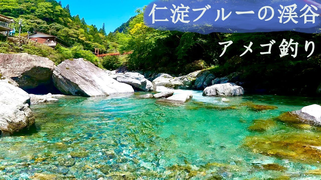 仁淀ブルー！仁淀川支流、安居渓谷でアメゴ釣り【高知県仁淀川水系安居川】（2023年春、四国編part.1）