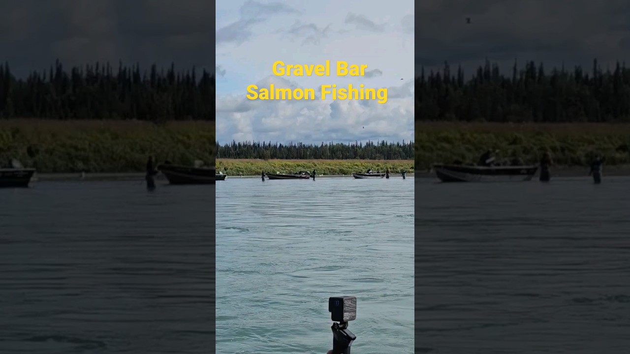 Gravel Bar Fishing for Silver Salmon on the Kenai River Alaska. #alaska #fishing #shorts