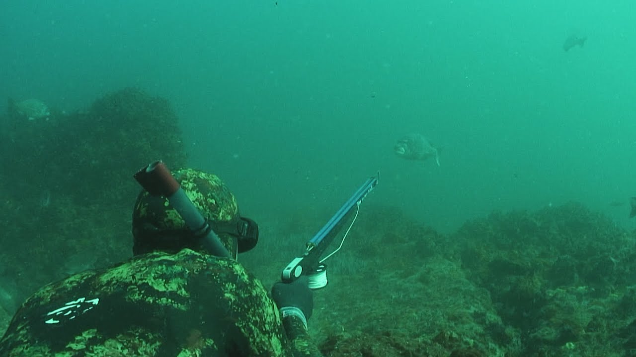 Spearfishing South Africa - ASD 