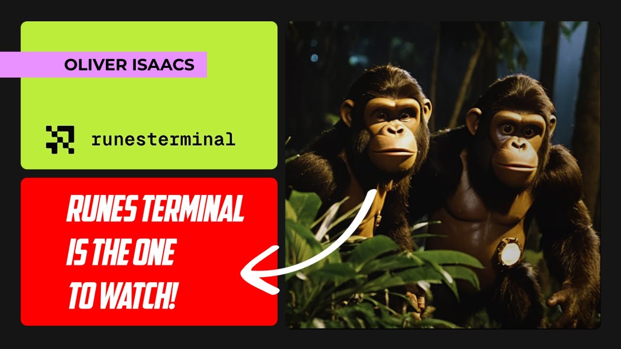 RunesTerminal  - One To Watch!