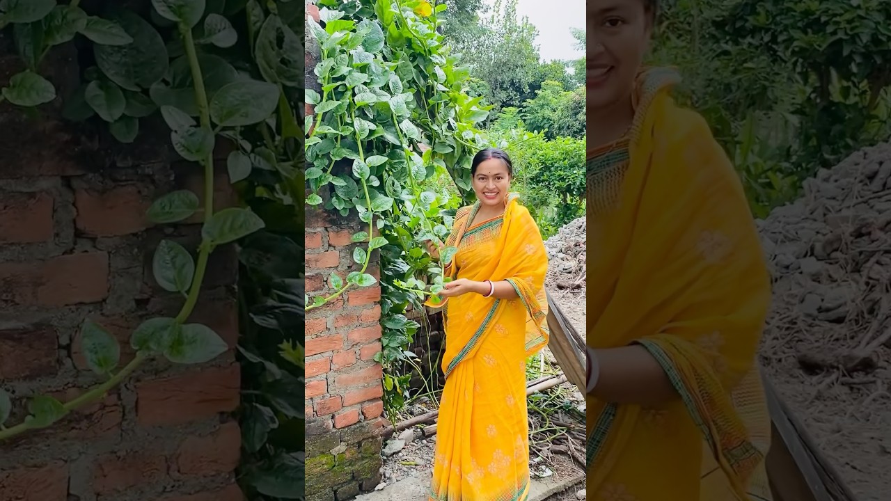 #spinach recipe #Poi saag recipe #shortsvideo #indianfood #viralvideo