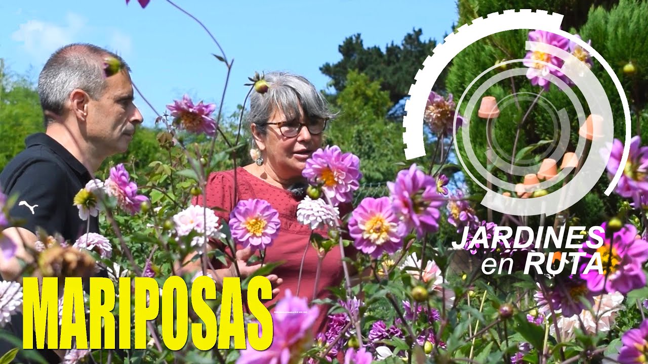 JARDINES en RUTA: El JARDÍN de MARGARITA. MARIPOSAS en ASTURIAS