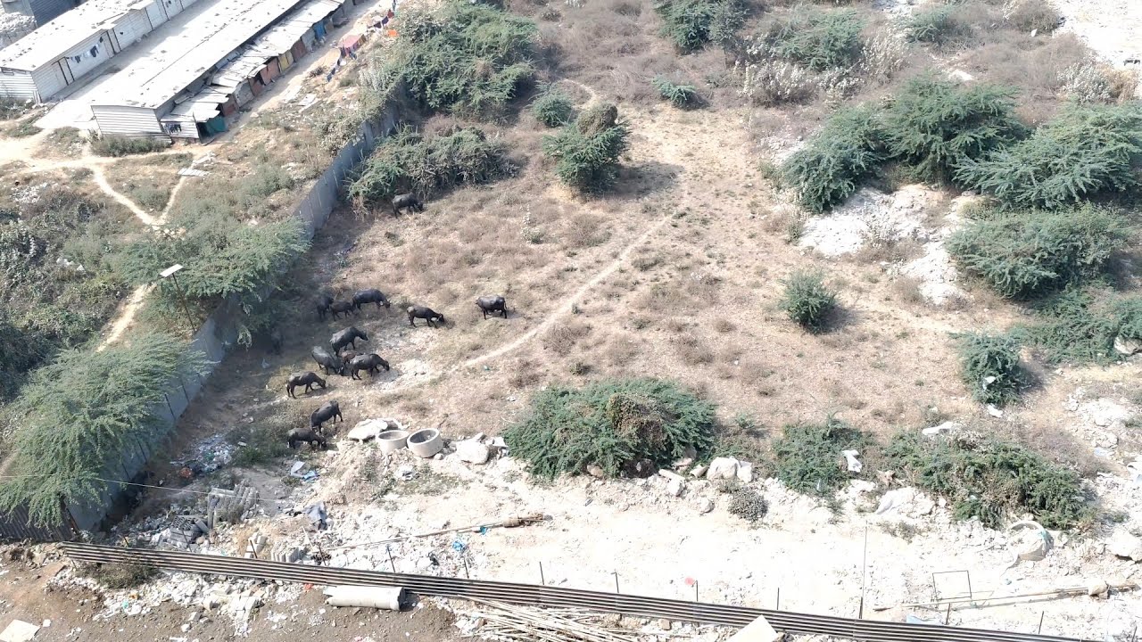 Ahmedabad m first vlogs 😮😮 y kya h 