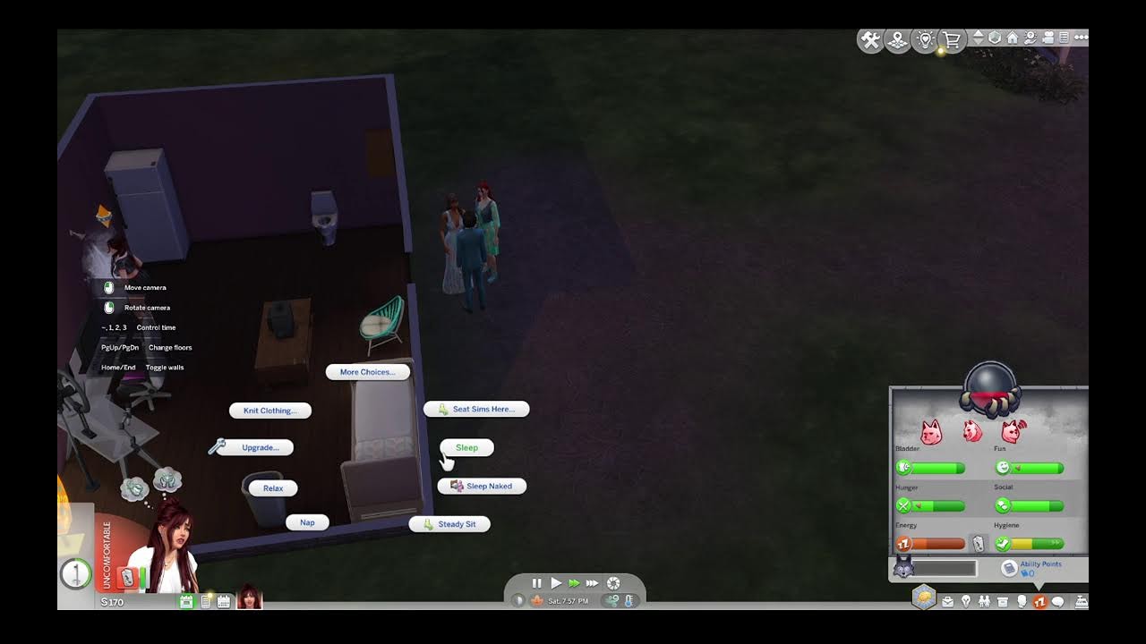 The Sims!