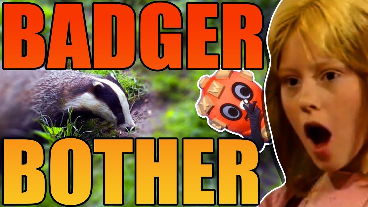 BADGER GIRL Was... Certainly Something
