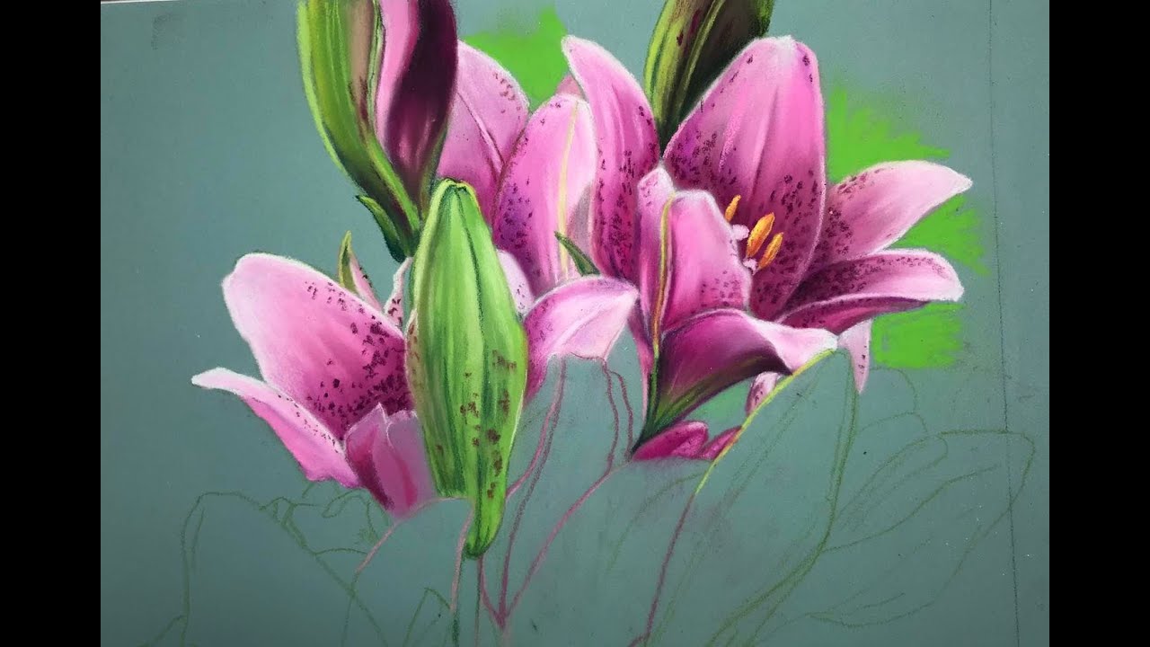 Red Lily in Soft Pastel