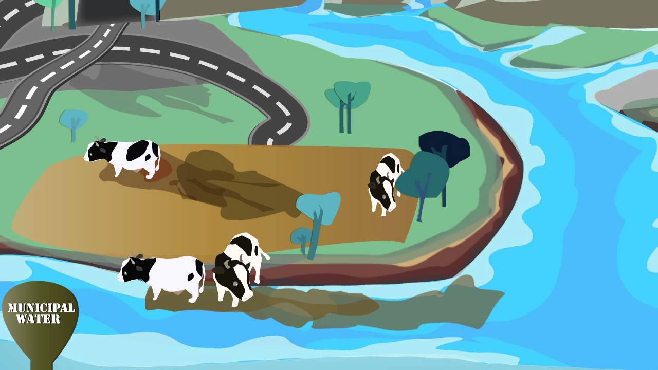 Clean Water: A Long Journey from the Source to Our Tap