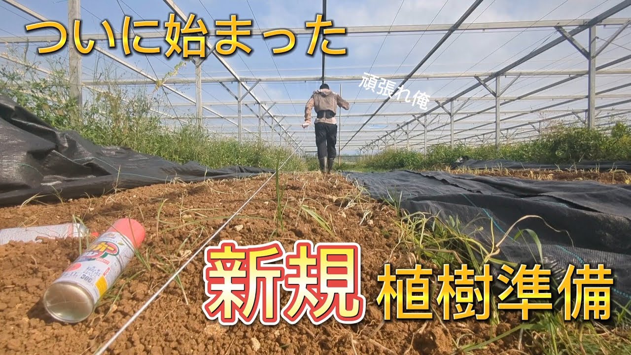 農家がただただコーヒーの植樹準備をするだけの動画