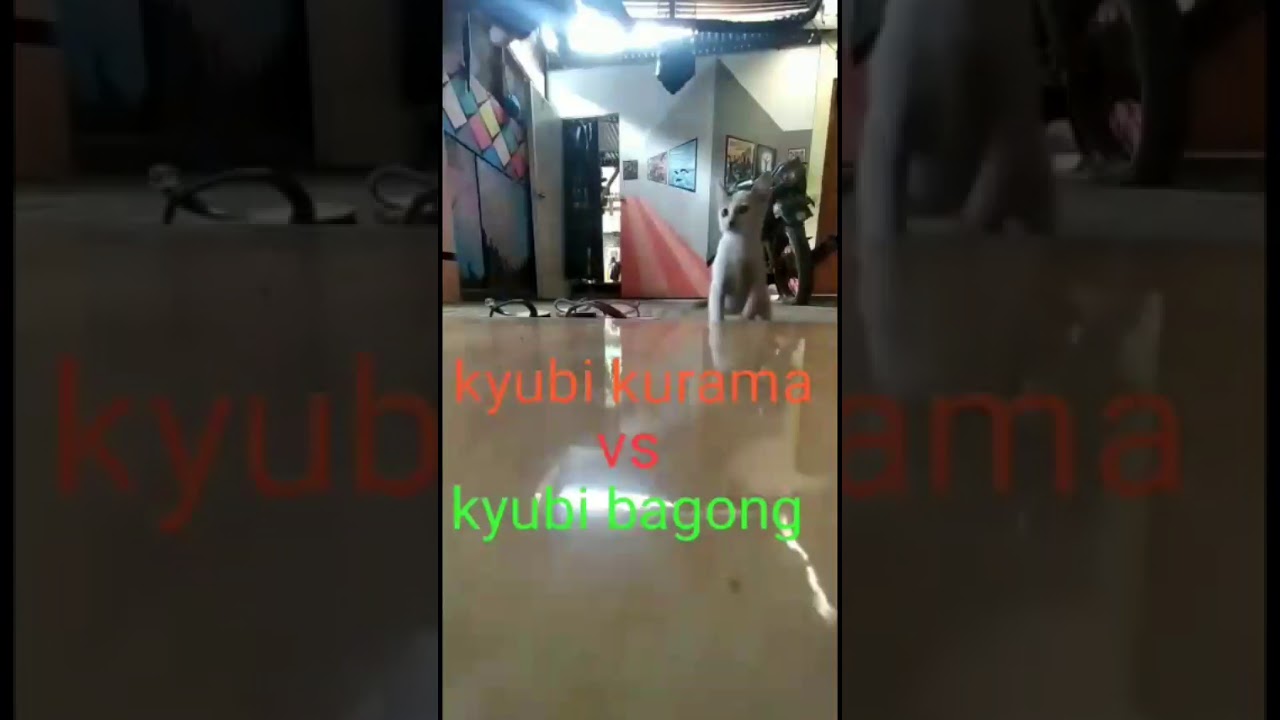 Pertarungan sengit kyubi kurama vs kyubi bagong