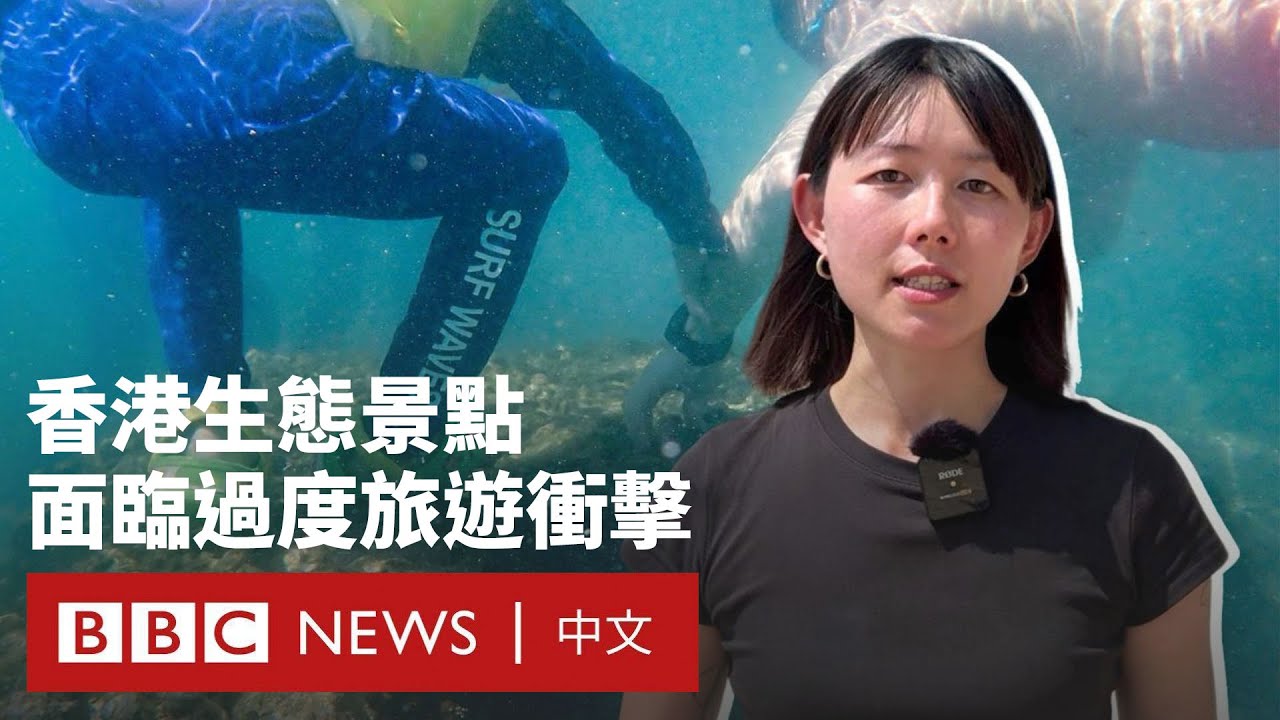 「踩珊瑚、捉海星」：過度旅遊衝擊香港生態 該如何填補保育政策缺口？－ BBC News 中文 #香港 #黃金周 #旅遊