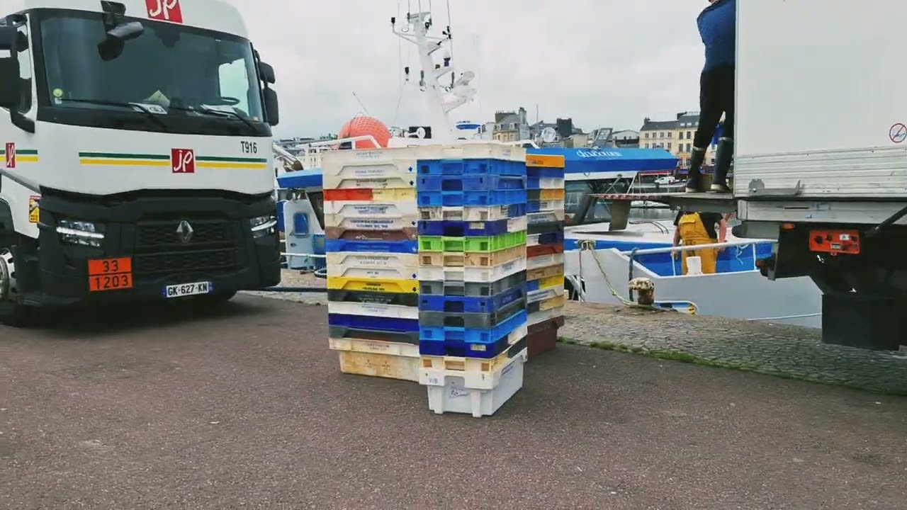 Mit AidaSol Ärmelkanal und Golf von Biskaya.  Letzter Stop: Cherbourg