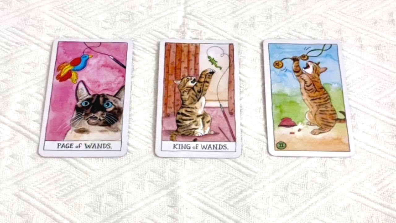 🔮塔羅占卜：你當下在情感中的課題🤔⋯？塔羅給你的愛情指引💘pick a card