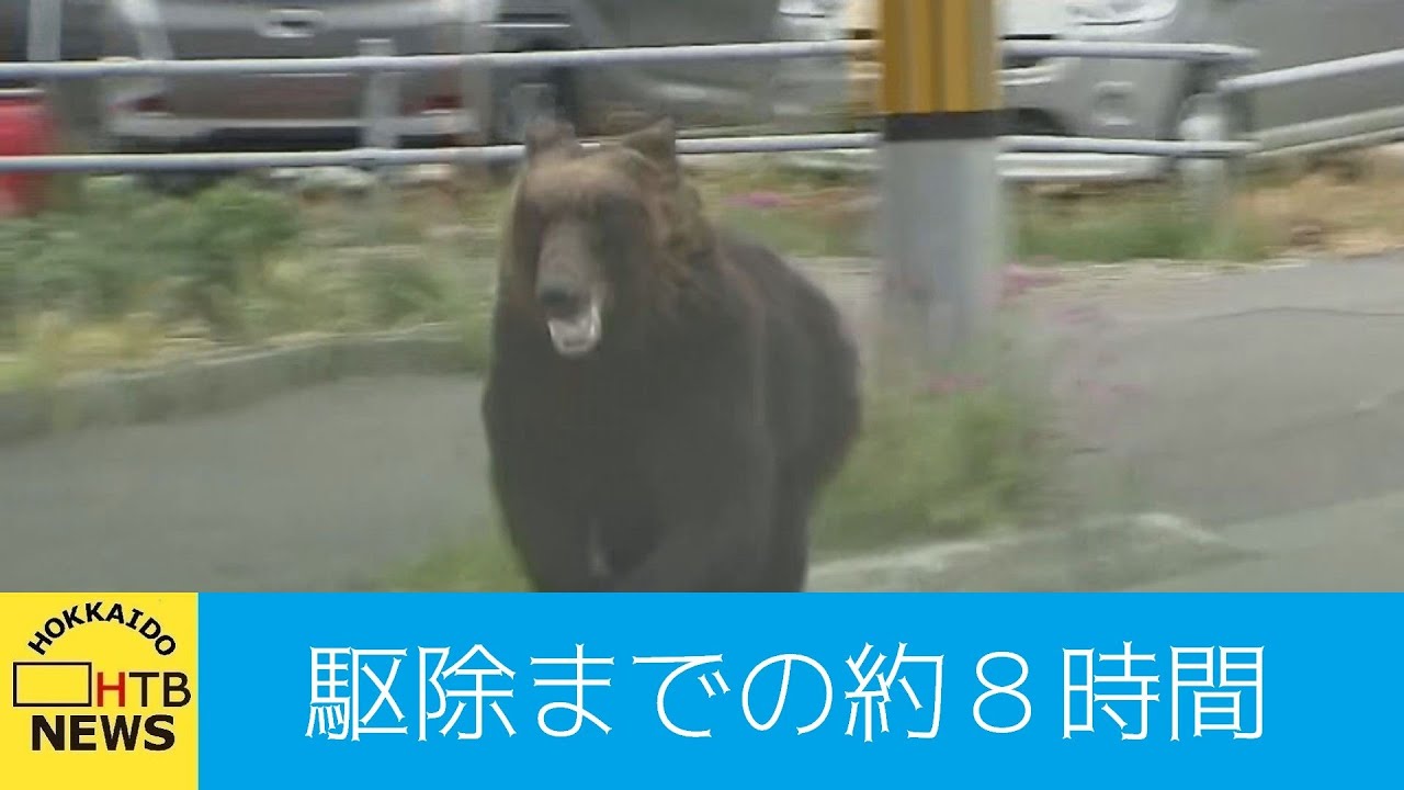 「後ろ見たらクマがバーっと来ていた…」札幌・東区の住宅街にクマ…通報から駆除までの約８時間