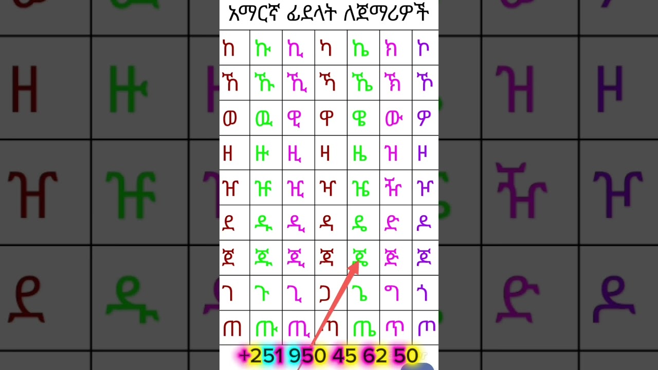 7 February 2026